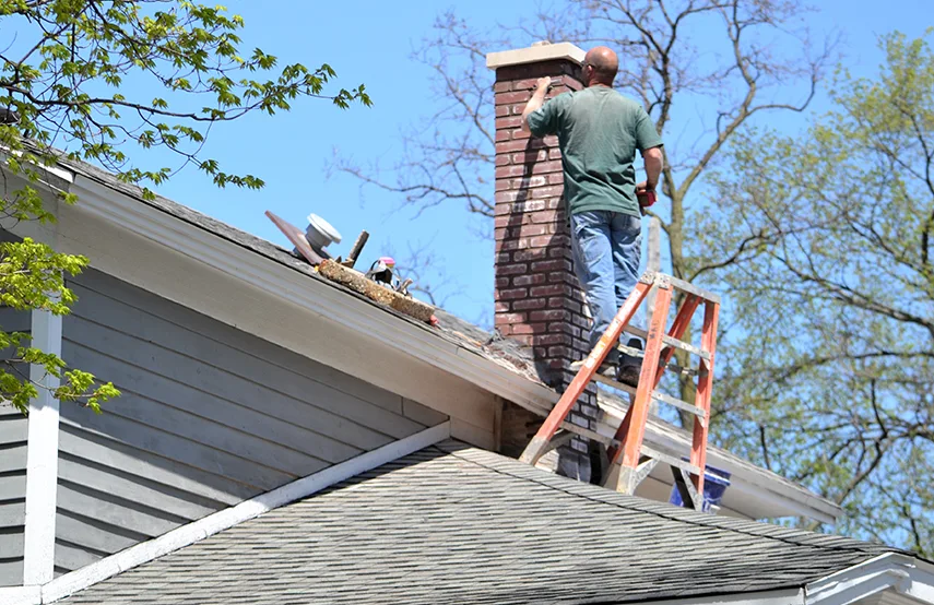 Chimney & Fireplace Inspections Services in Summerville, SC